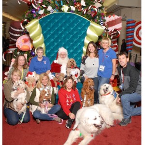 Santa dogs 2017