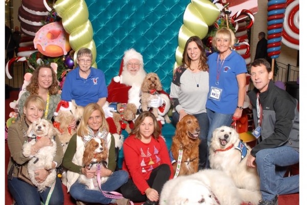 Santa dogs 2017
