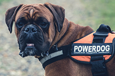 power