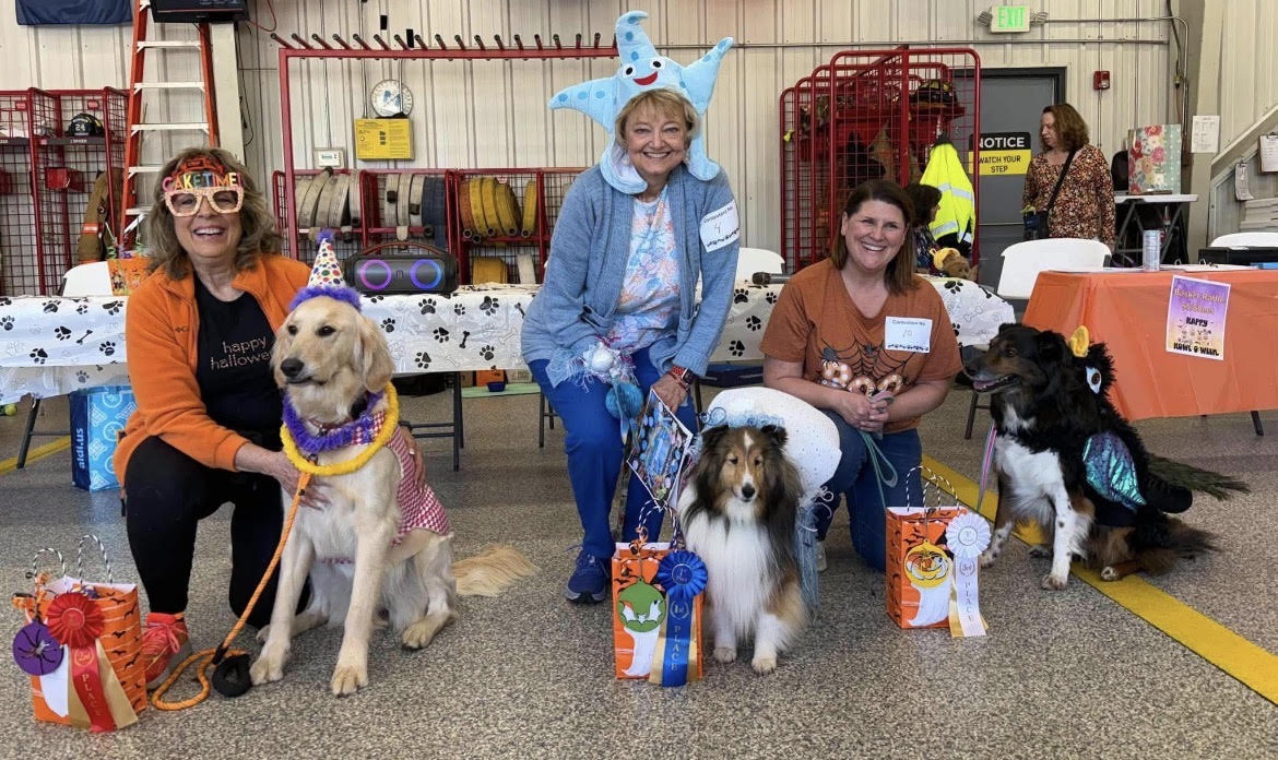 2026 Halloween Dog Winners