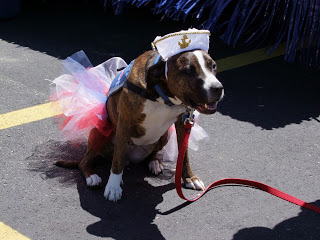 Perry 200 Parade 037
