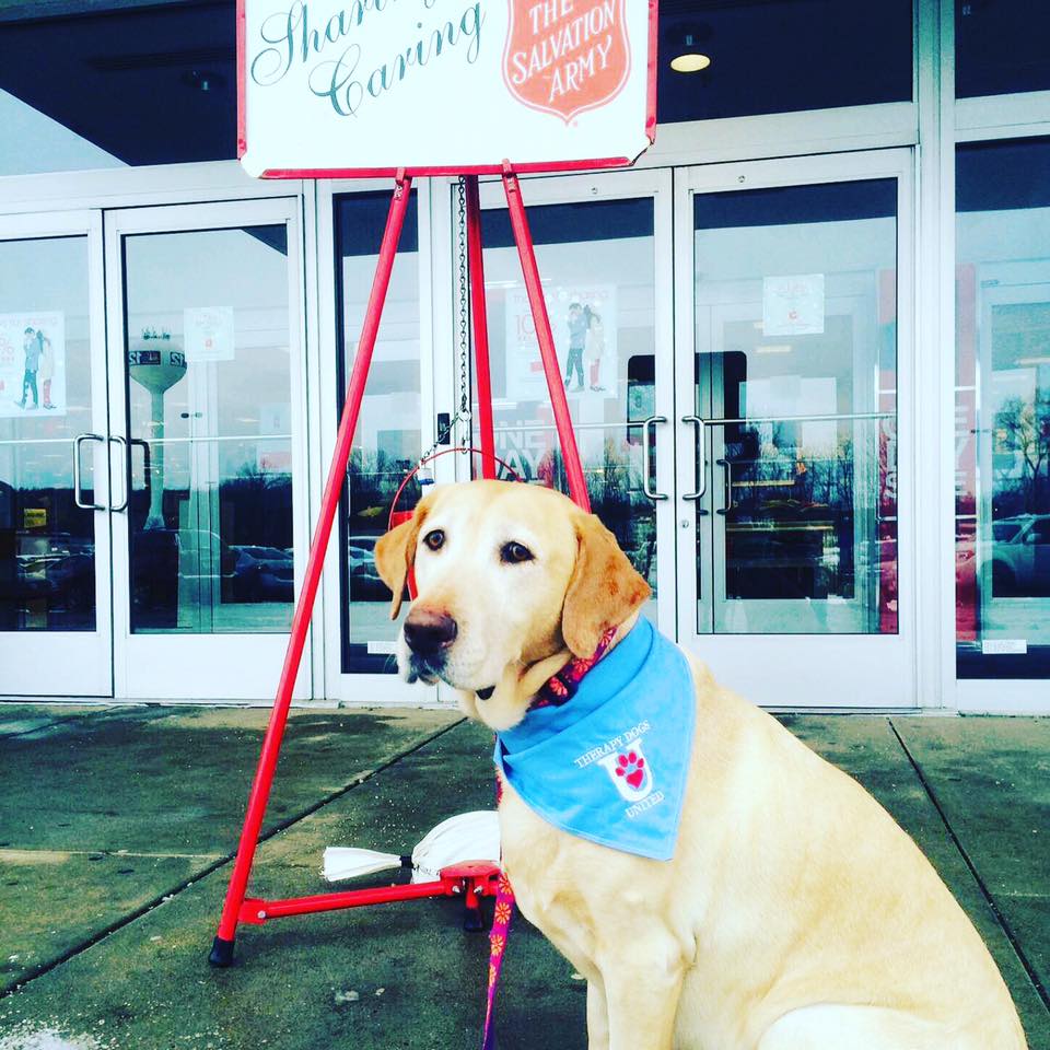 Zoey Salvation Army