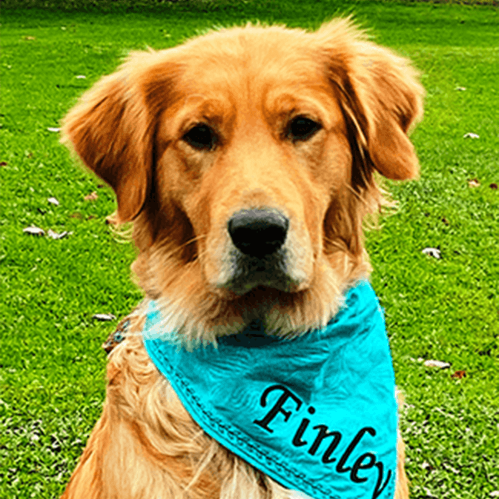 Finley