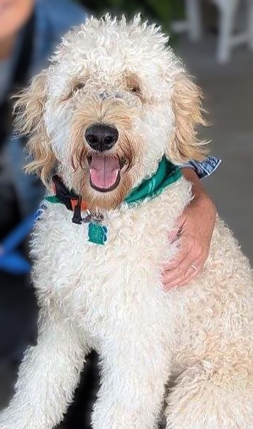 Gus