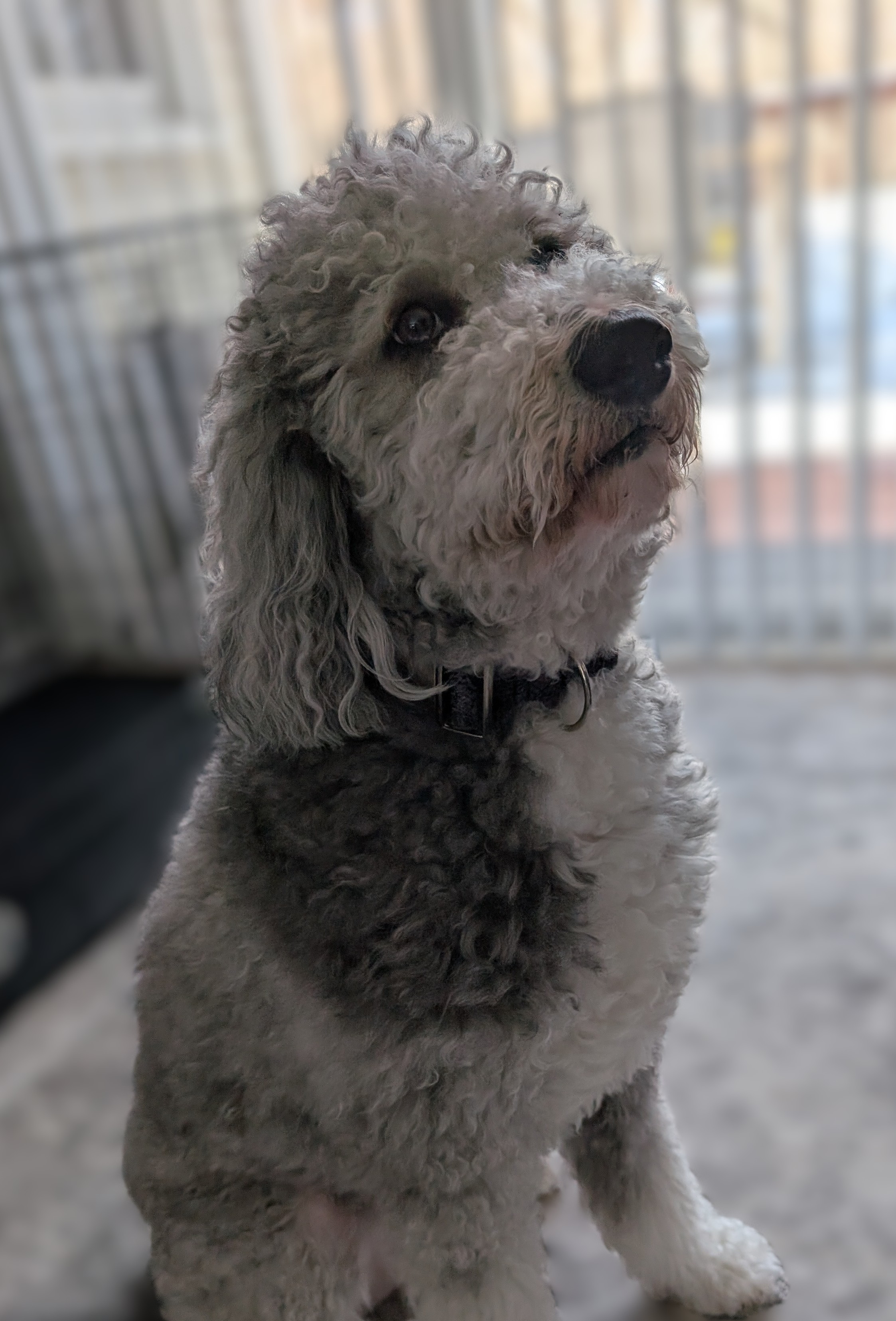 Maggie