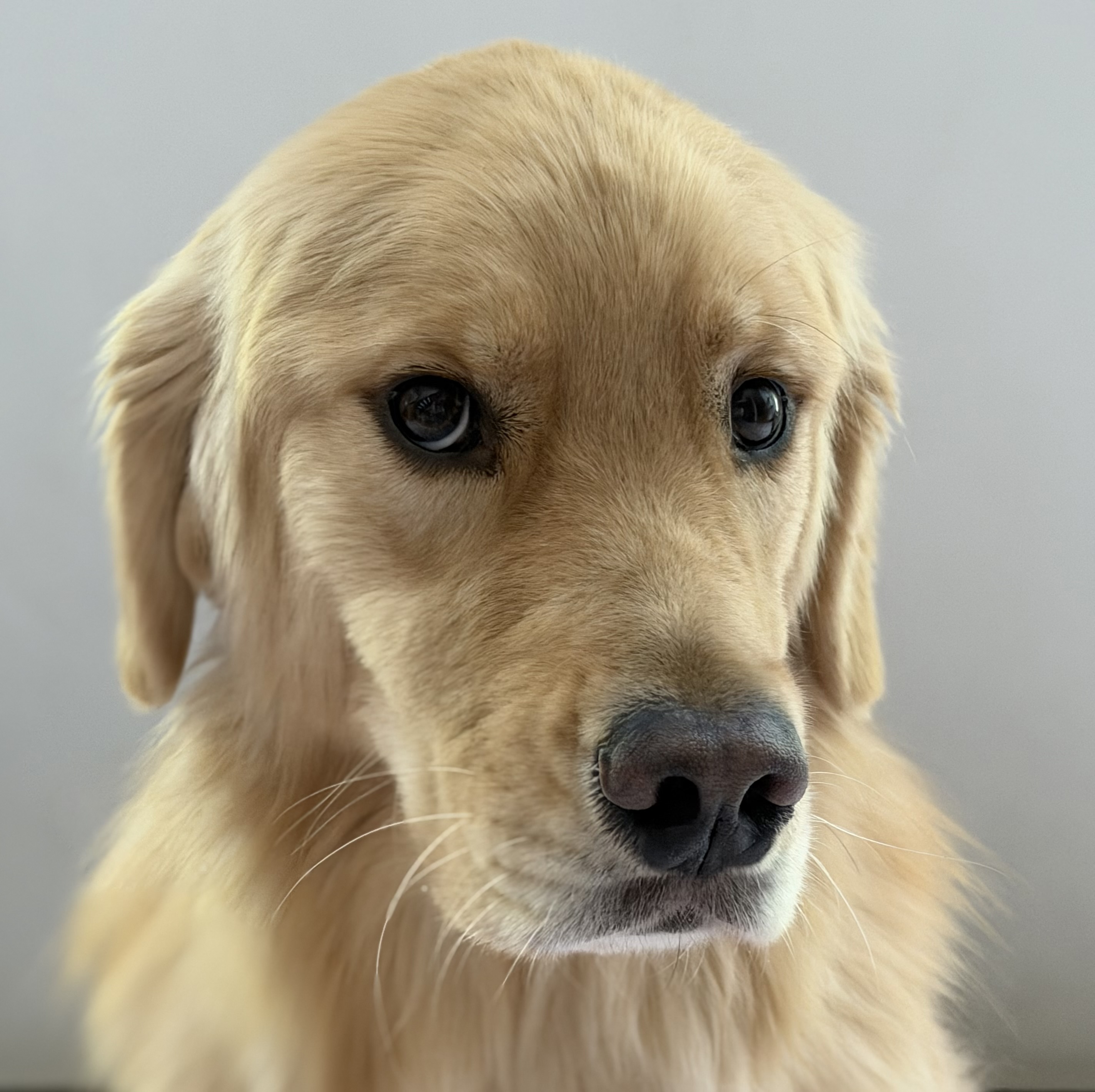 Rori