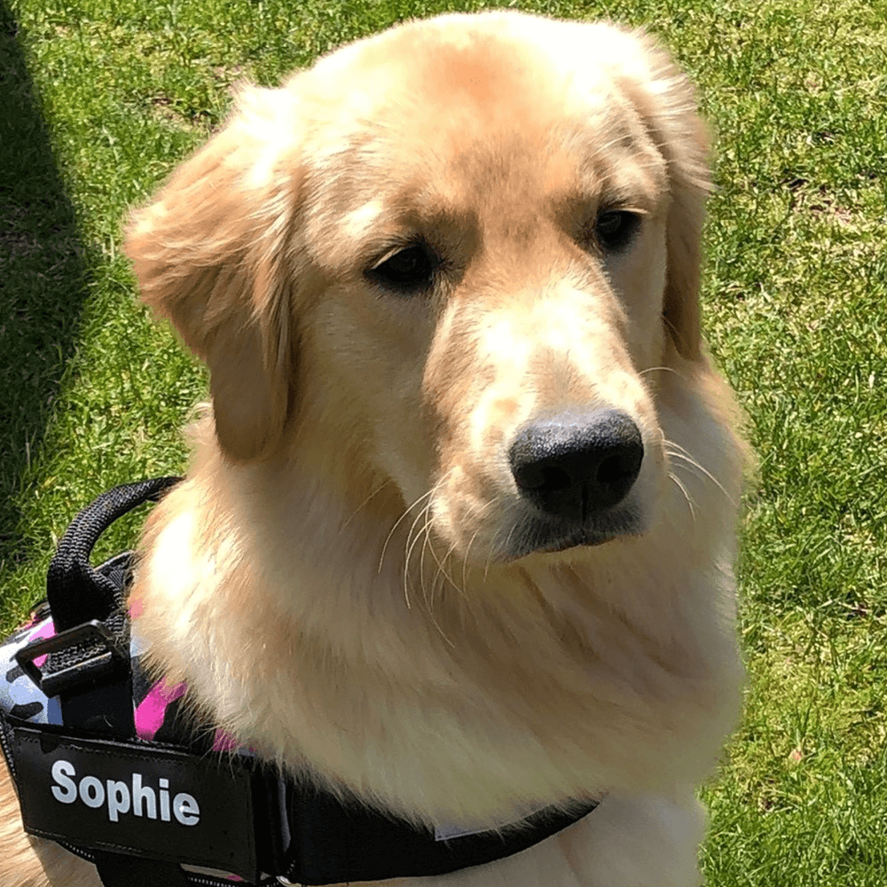 Sophie