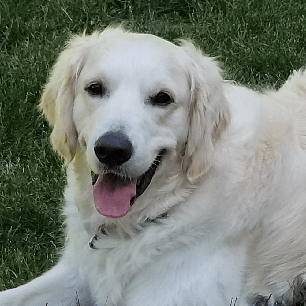 Tucker