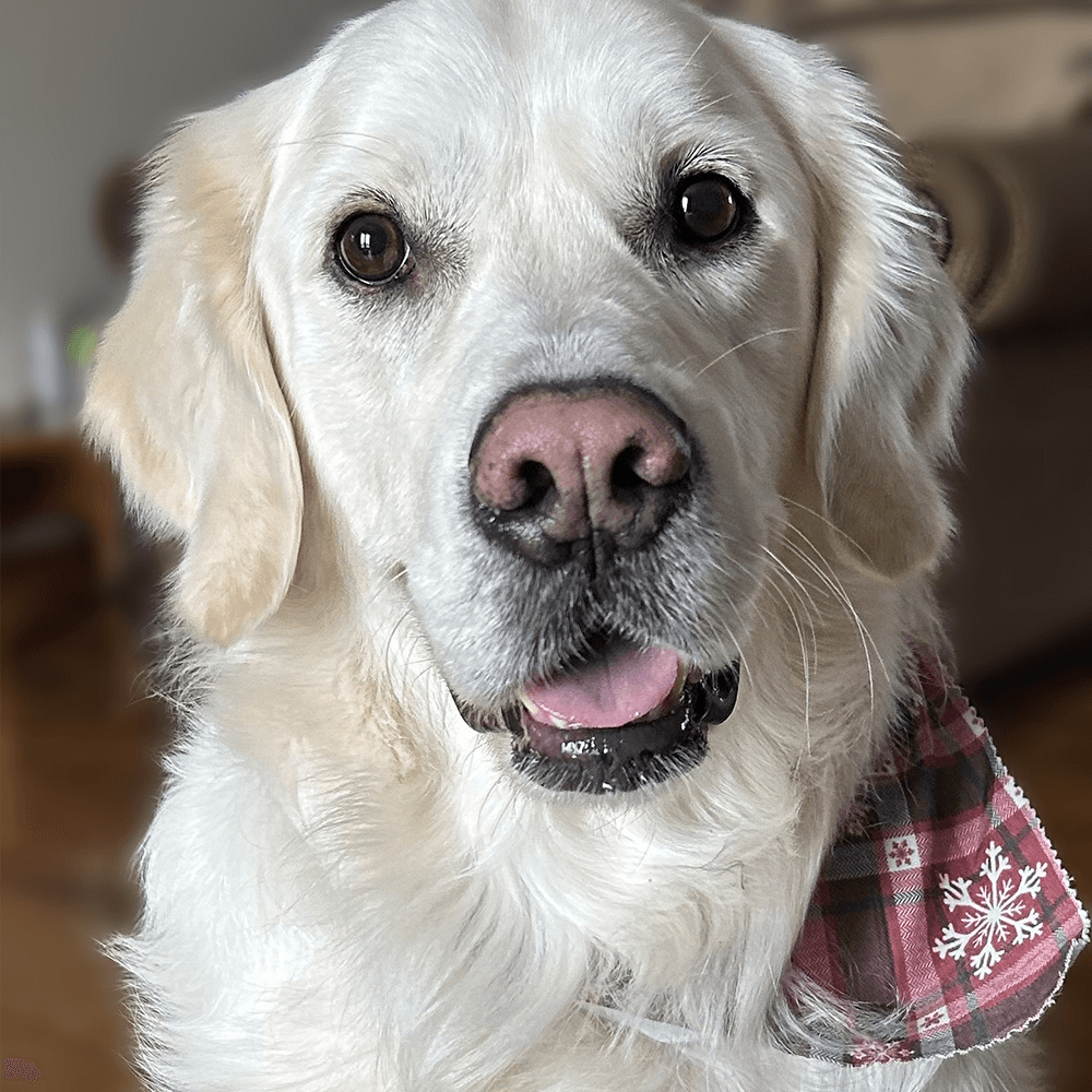 Tucker