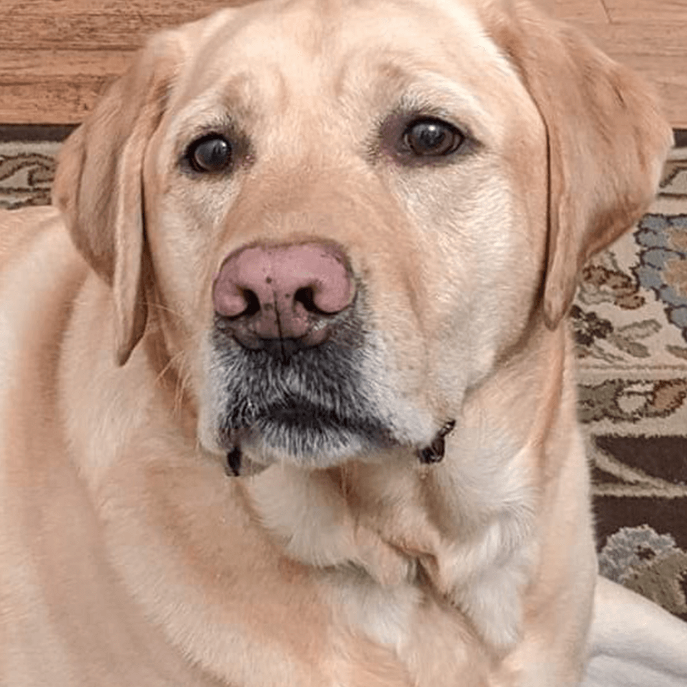 Tucker