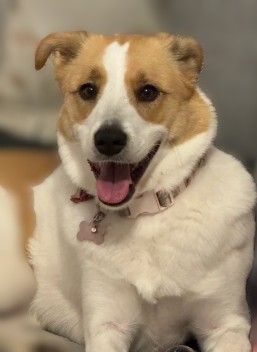 Arabella