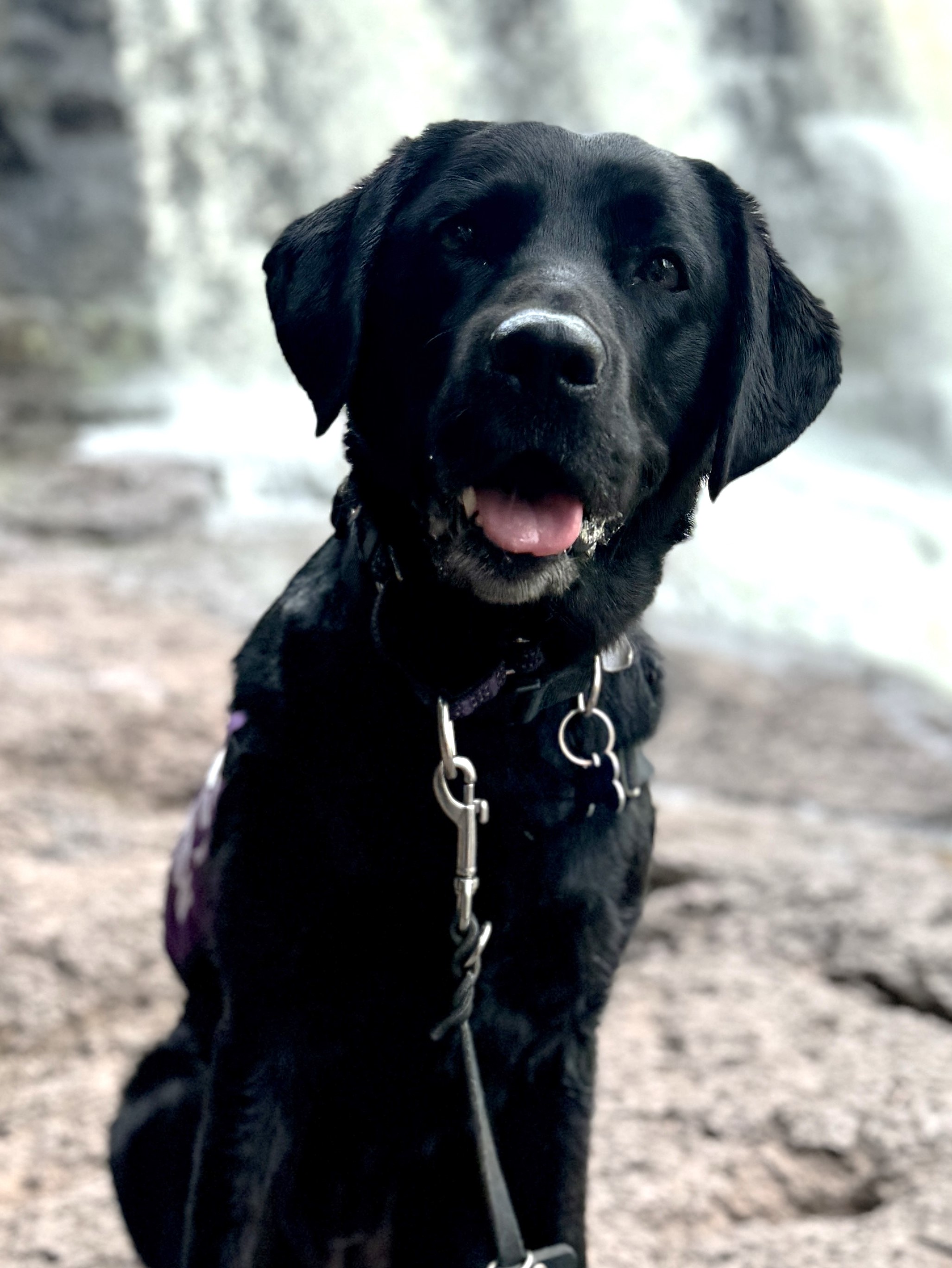 Bindi