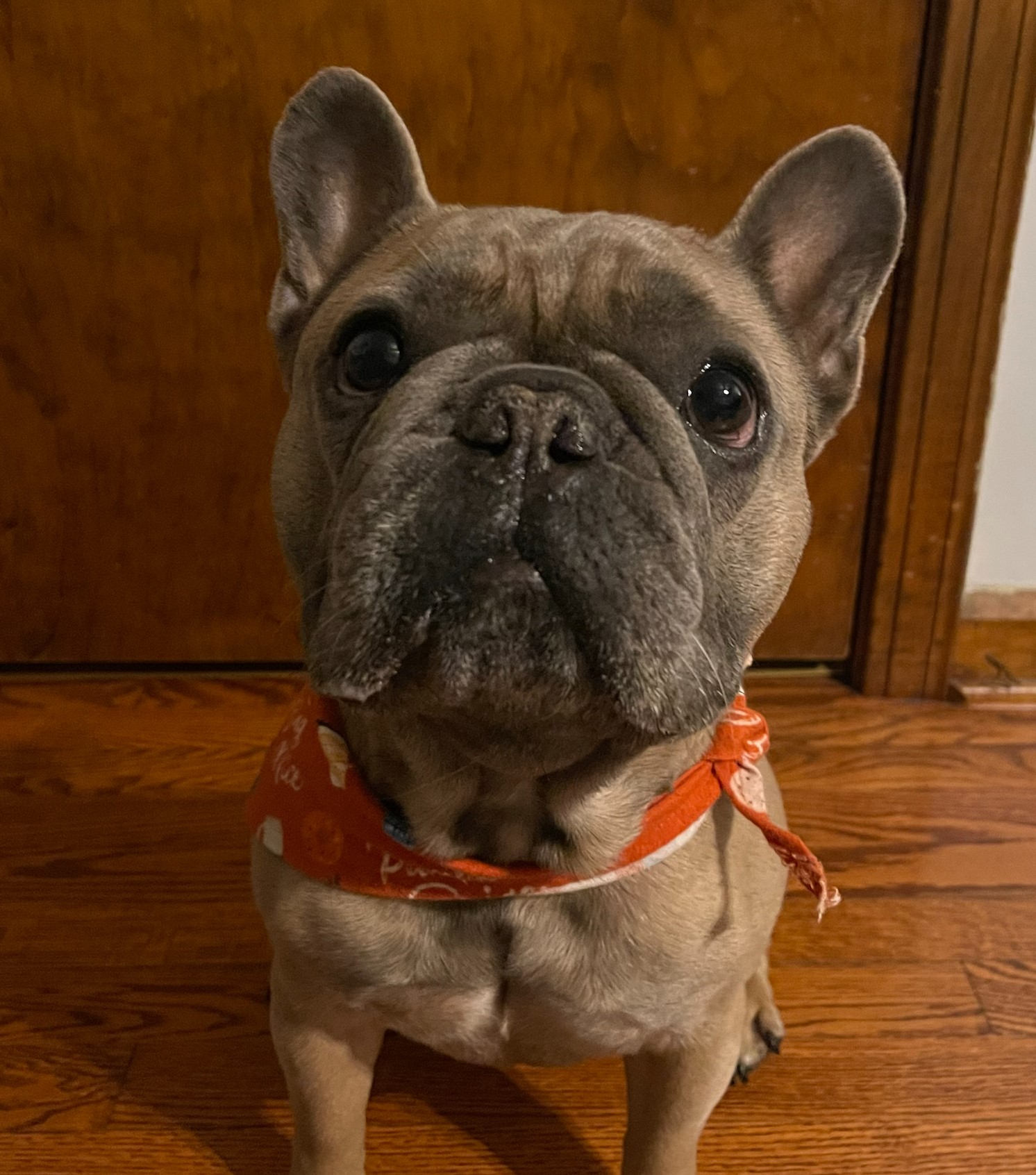 Cooper