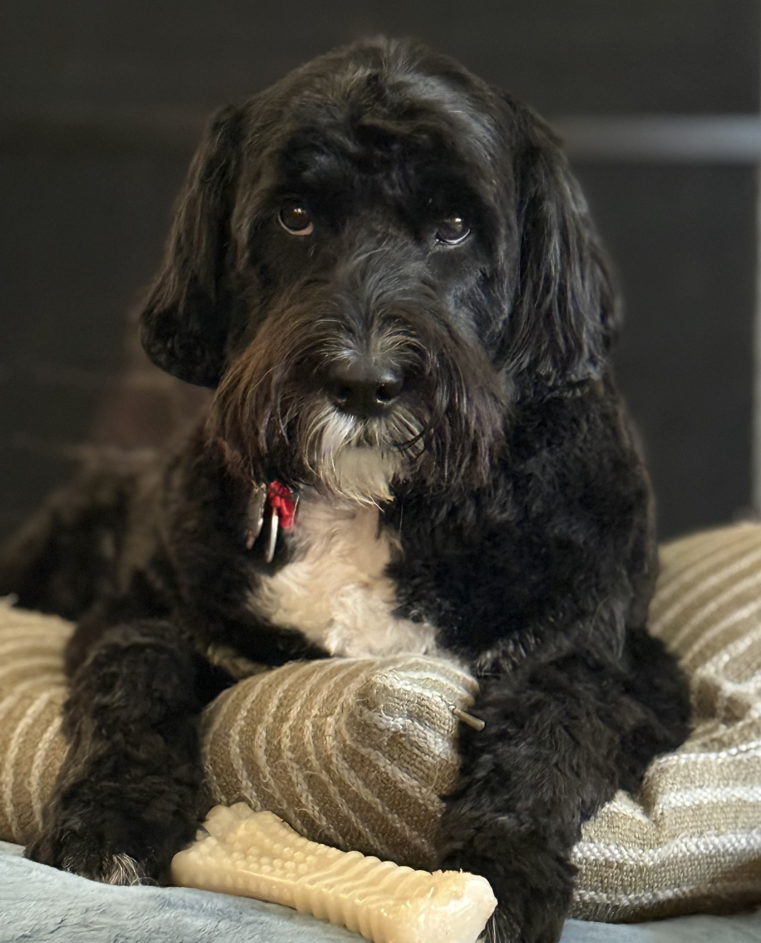 Eleanor