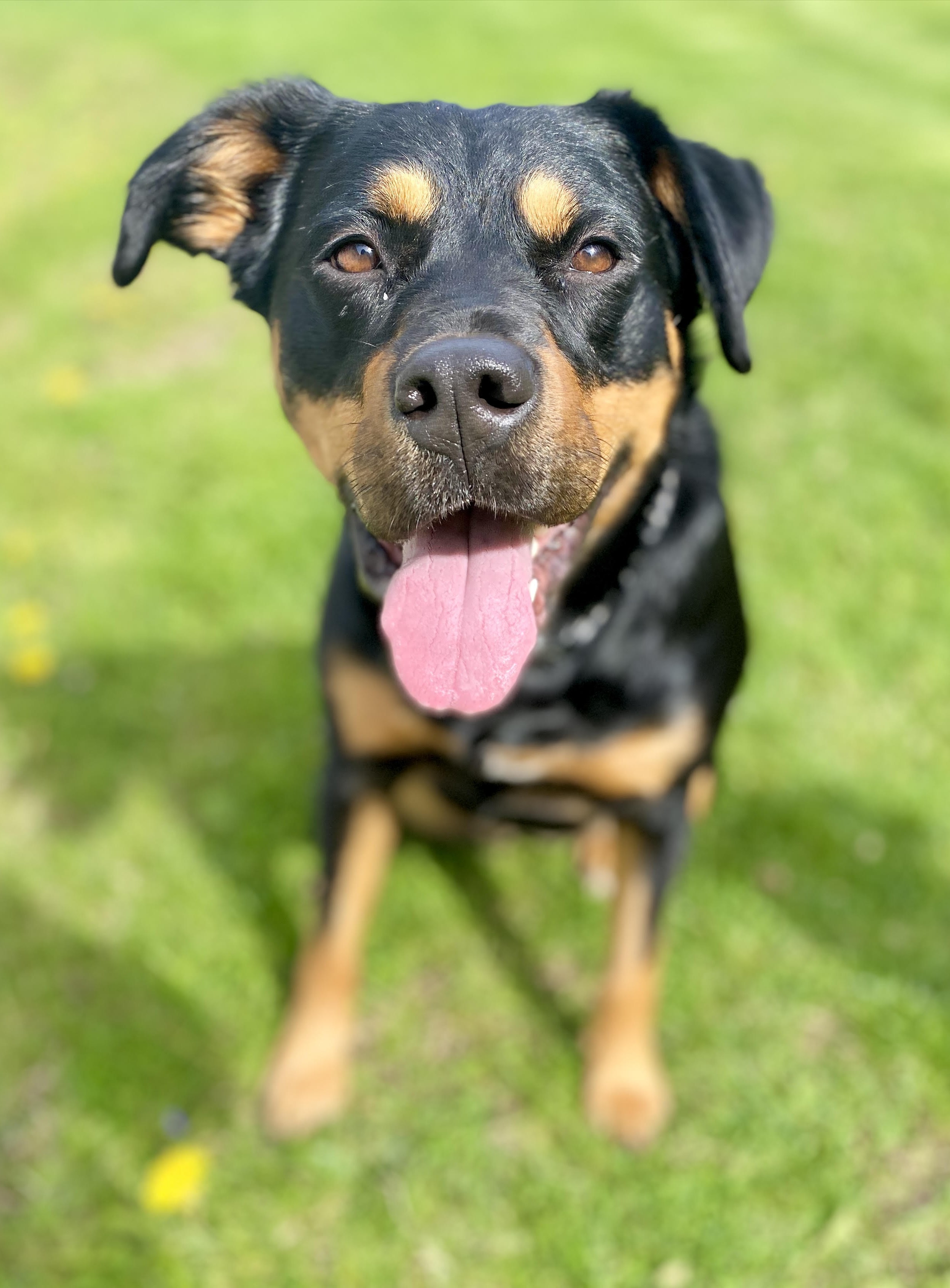 Ember