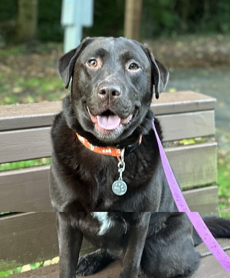Fiona
