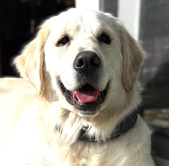Winnie