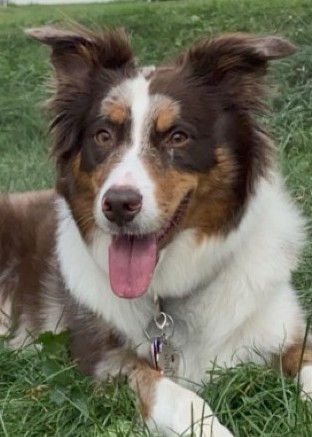 Kimber