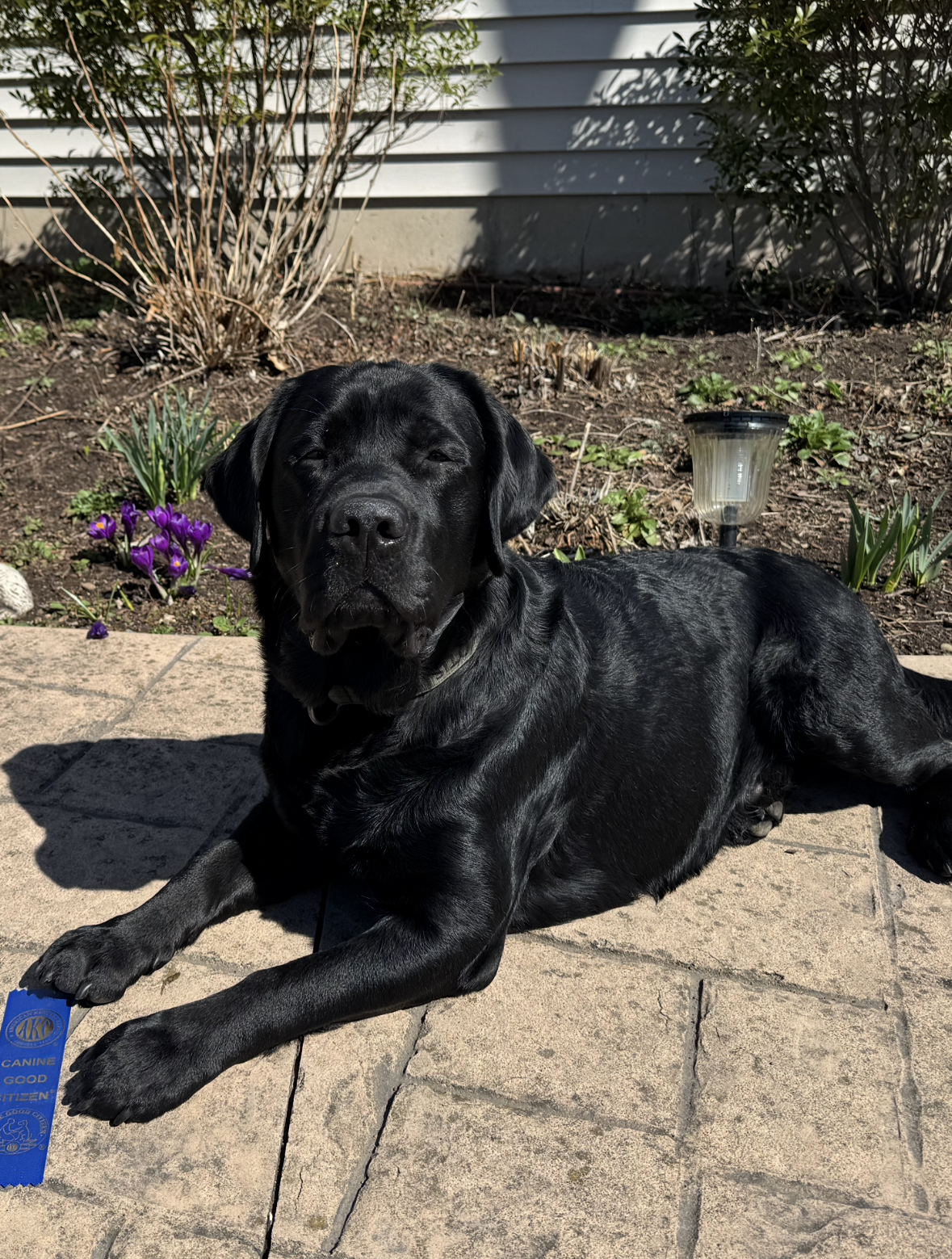 Otis