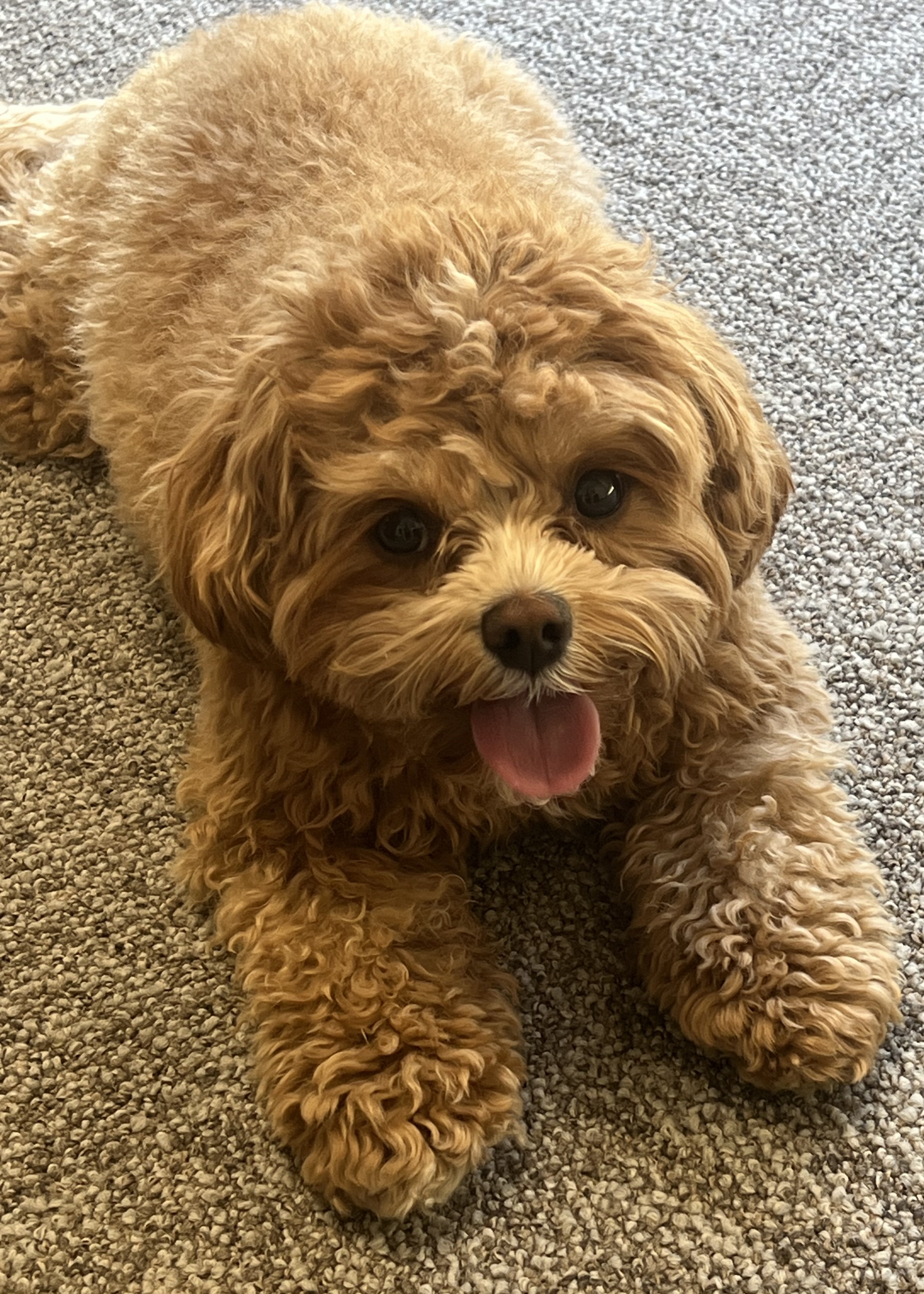 Jax