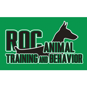 Green Logo