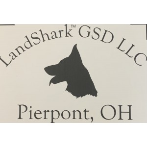 LandShark TM LOGO