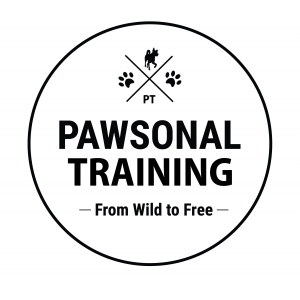 PT logo 2 1