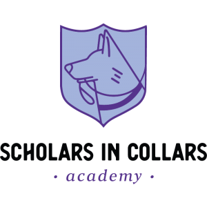 scholars in collars
