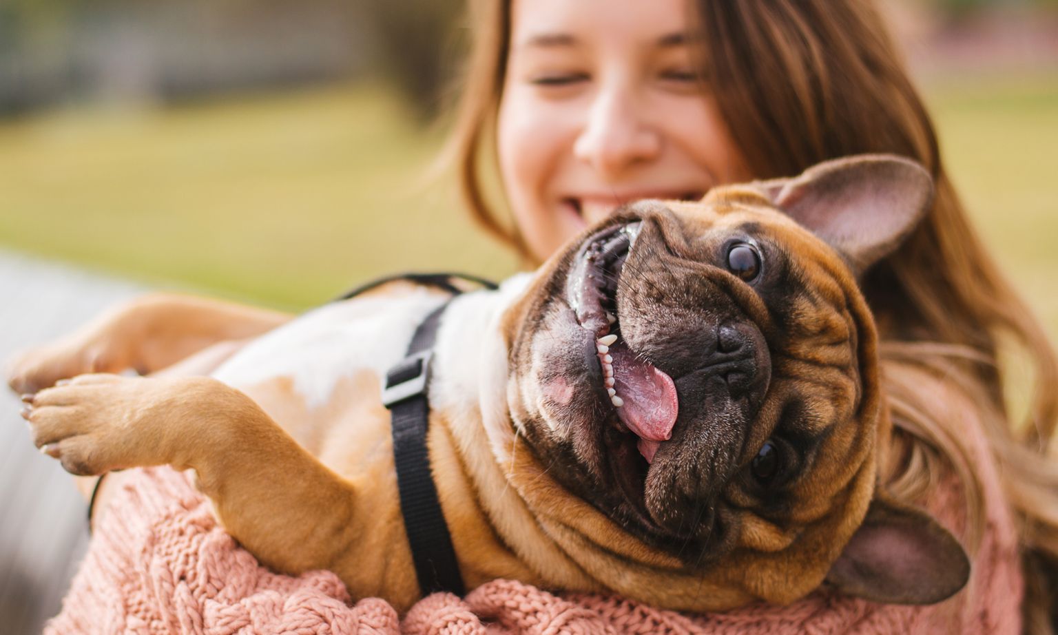 woman-cradling-dog-1536.jpg
