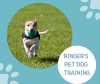 RINGERS PET DOG TRAINING Natrona Heights PA 1